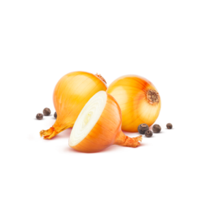 Burpee Onions