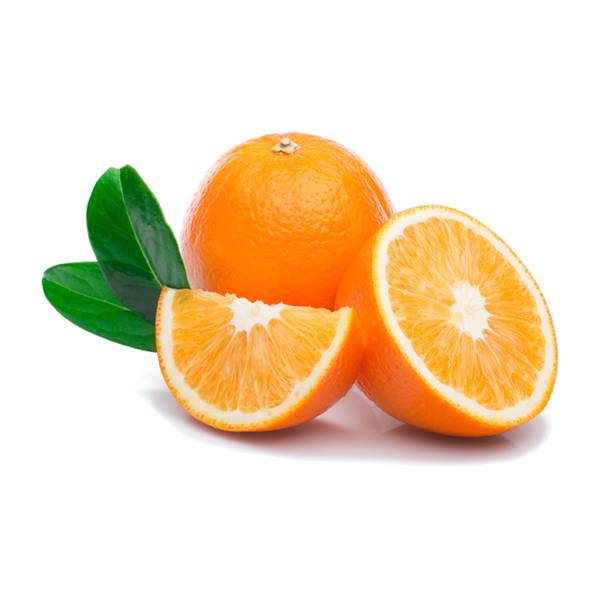 Sugar Snap Seeds - Image 4