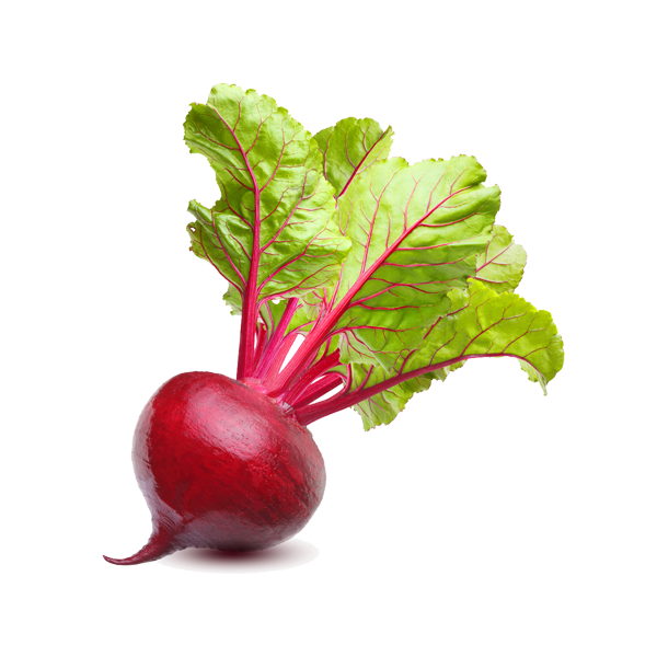 Sugar Snap Seeds - Image 3